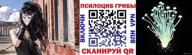 Псилоцибиновые грибы Cubensis  где купить   Туапсе 